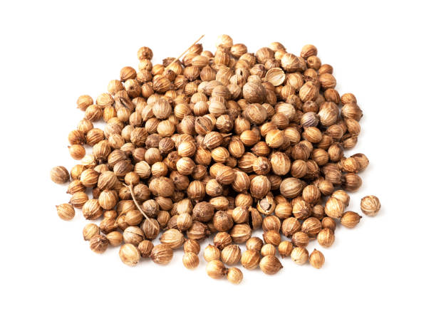 Coriander seeds