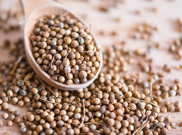 Coriander seeds