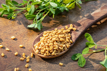 Fenugreek seeds