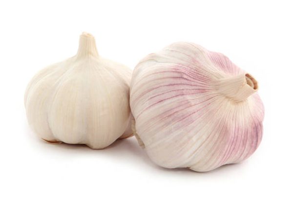 Garlic